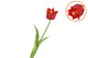 Silk Tulip Single Red 48cm Nm