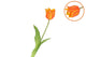 Silk Tulip Single Orange 48cm Nm