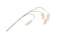 Silk Wisteria Champagne 93cm Nm