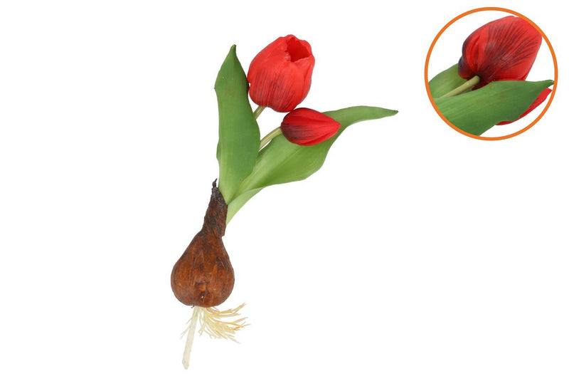 Silk Tulip Bulb Red 25cm