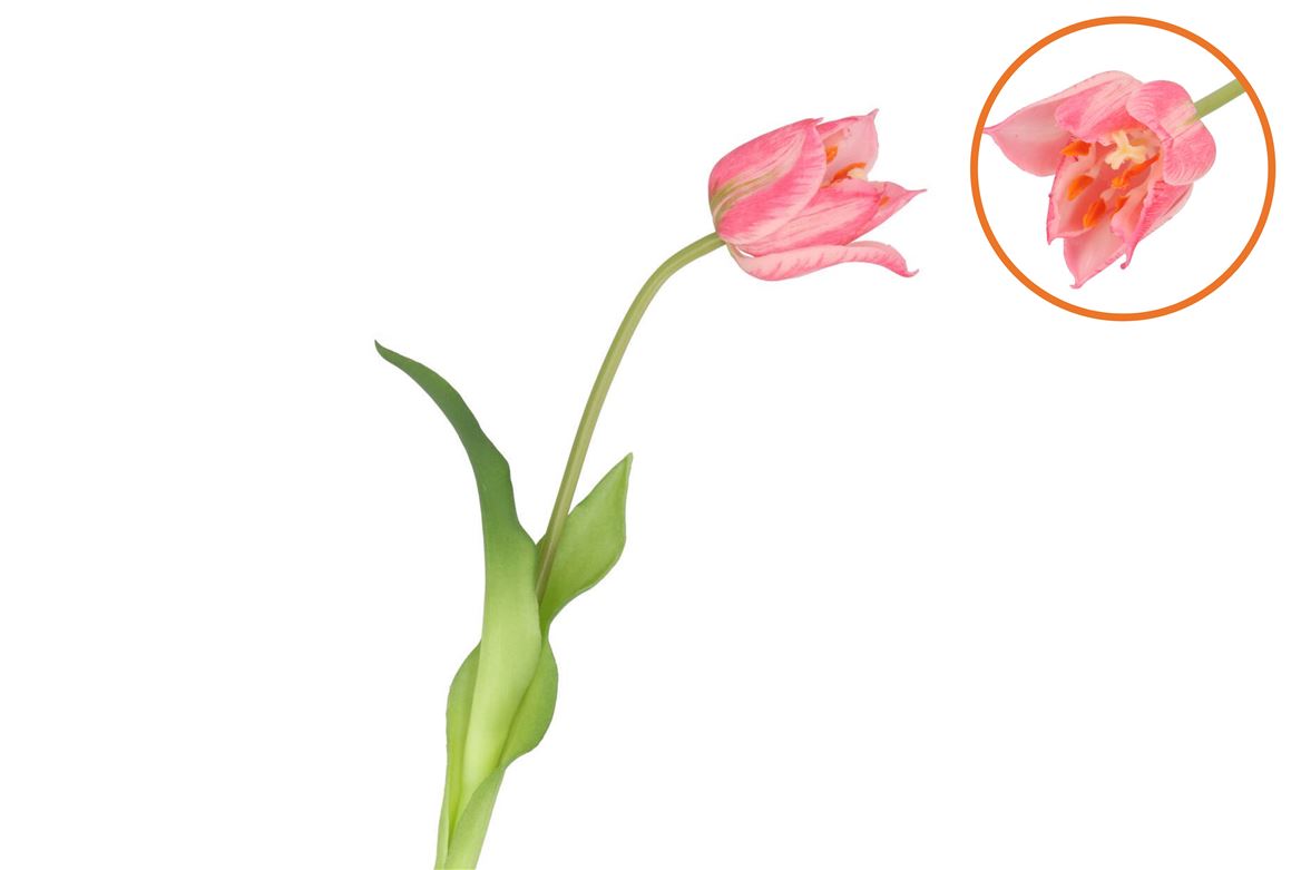 Silk Tulip Single Light Pink 48cm Nm