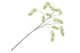 Silk Wisteria Green 130cm Nm