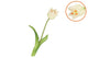 Silk Tulip Single White 48cm Nm