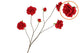 Silk Roses Wild Red 126cm Nm
