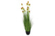 Silk Cosmos Grass Green 150cm Nm