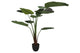 Silk Strelitzia Green 185cm Nm