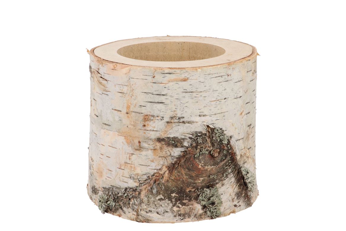 Nature Birch Pot D13-15cm X 11cm