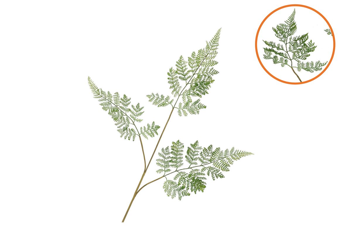 Silk Fern Forest Green 87cm Nm