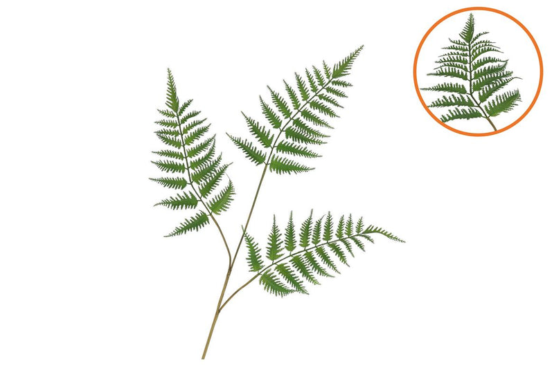 Silk Fern Dauallia Green 87cm