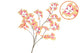 Silk Ginkgo Orange 130cm Nm