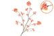 Silk Cherry Blossom Peach 126cm