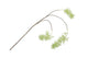 Silk Wisteria Green 93cm Nm