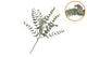 Silk Eucalyptus Green Stem 51cm
