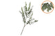 Silk Eucalyptus Green Stem 86cm