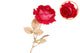 Silk Rose Goldie Beauty 75cm Nm