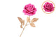Silk Rose Goldie Fuchsia 75cm Nm