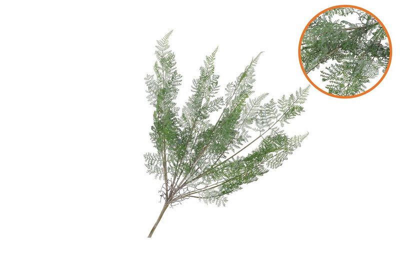 Silk Fern Forest Branch Green Snowy 76cm Nm