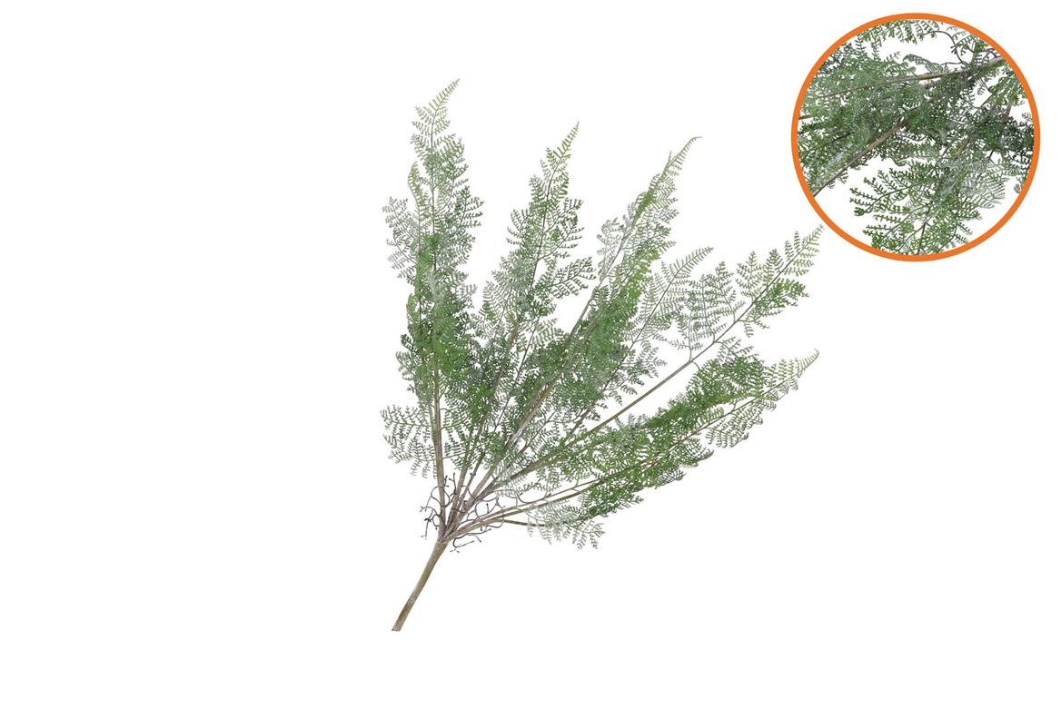Silk Fern Forest Branch Green Snowy 76cm Nm