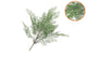 Silk Fern Maiden Hair Branch Green Snowy 76cm Nm
