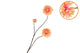 Silk Dahlia Branch Peach 80cm