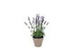 Silk Lavender Purple Pot Terra S 15x15x20cm