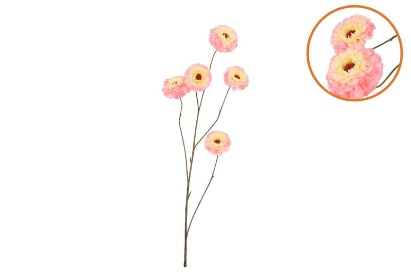 Silk Zinnia Peach 106cm