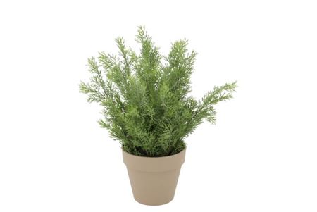 Silk Cypress Green In Pot Terra M 23x23x31cm