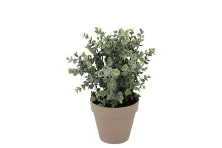 Silk Eucalyptus Green In Pot Terra M 25x25x28cm
