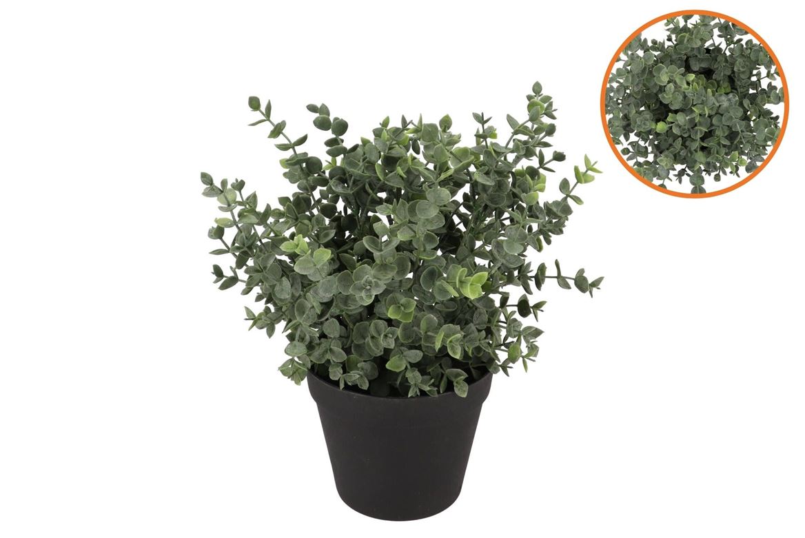 Silk Eucalyptus Green In Pot M 23x23x28cm