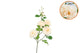 Silk Wild Rose Cream Single Stem 116cm