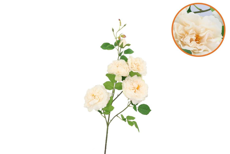 Silk Wild Rose Cream Single Stem 116cm