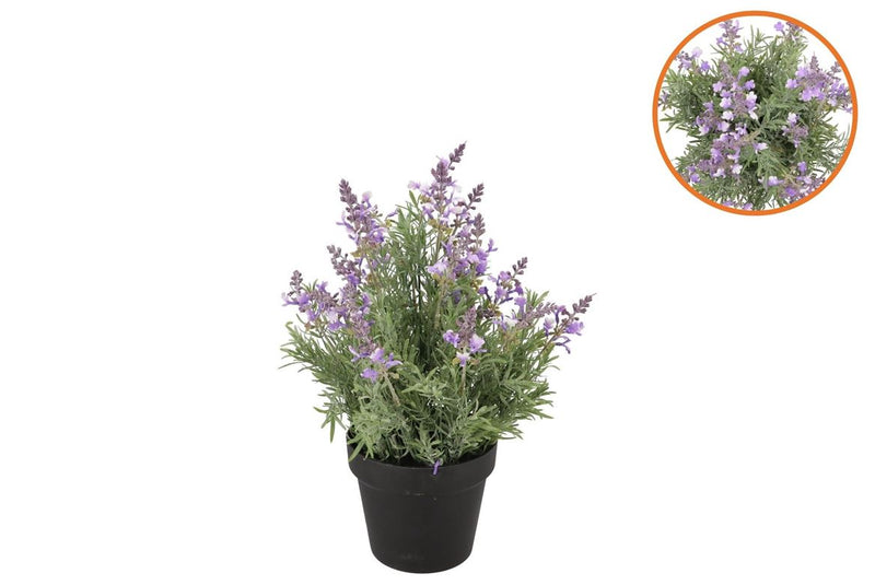 Silk Lavender Purple In Pot Black S 13x13x22cm