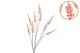 Silk Campanula Orange Single Stem 146cm