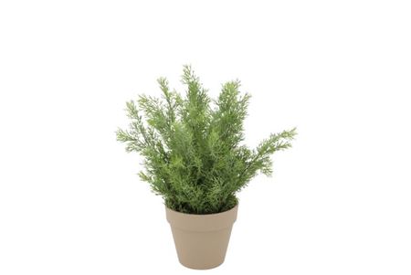 Silk Cypress Green In Pot Terra S 18x18x21cm