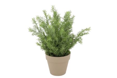 Silk Cypress Green In Pot Terra L 33x33x50cm