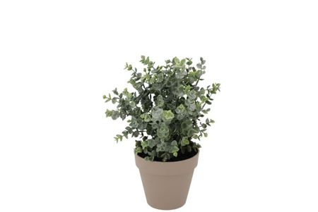 Silk Eucalyptus Green In Pot Terra S 18x18x19cm