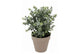 Silk Eucalyptus Green In Pot Terra L 30x30x40cm