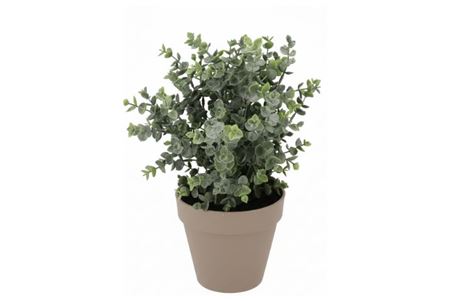 Silk Eucalyptus Green In Pot Terra L 30x30x40cm
