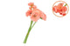 Silk Bouquet Flowers Orange 23cm P/1