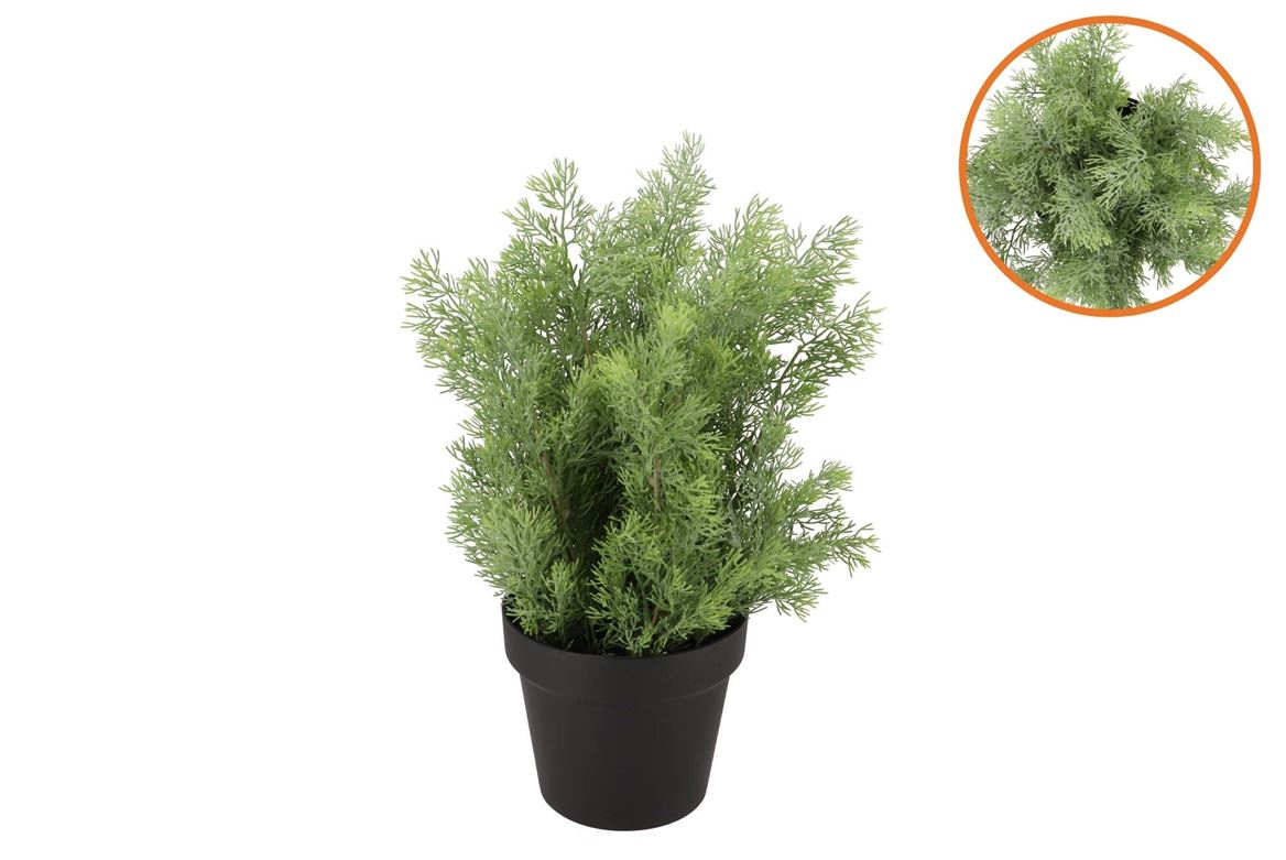 Silk Cypress Green In Pot M 23x23x30cm