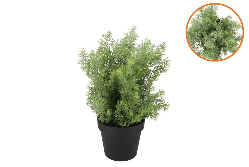 Silk Cypress Green In Pot M 23x23x30cm