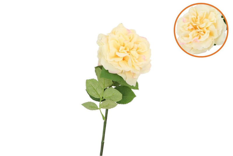Silk Wild Rose Yellow Single 65cm