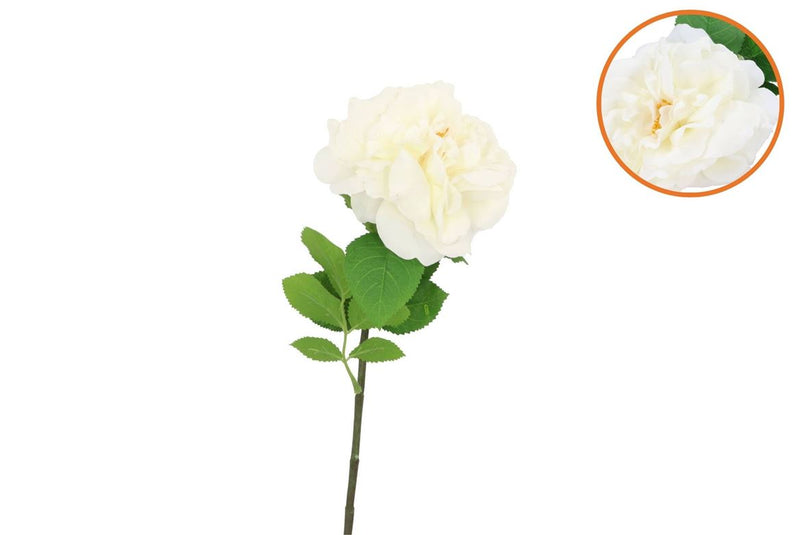Silk Wild Rose White Single 65cm