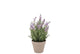 Silk Lavender Purple Pot Terra S 17x17x23cm
