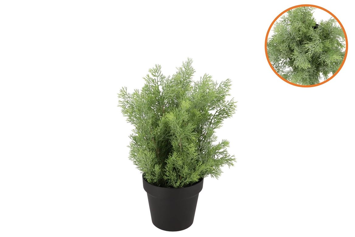 Silk Cypress Green In Pot S 18x18x20cm
