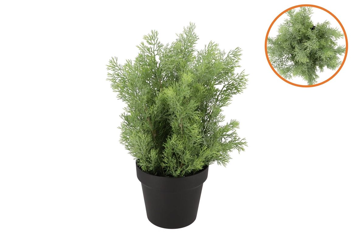Silk Cypress Green In Pot L 33x33x48cm
