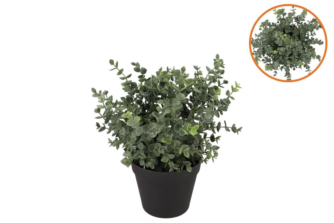 Silk Eucalyptus Green In Pot S 18x18x19cm
