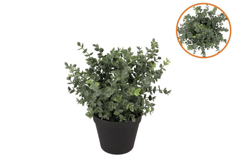 Silk Eucalyptus Green In Pot S 18x18x19cm