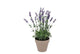 Silk Lavender Purple Pot Terra M 21x21x32cm