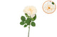 Silk Wild Rose Cream Single 65cm